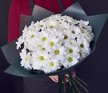 Букет цветов из:  Хризантемы #REPLACE_PRED# Салаире