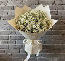 Букет цветов из:  Ромашки #REPLACE_PRED# Салаире