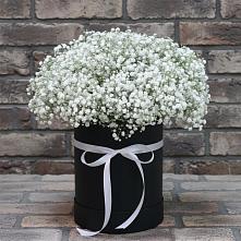 Цветочная композиция из Гипсофила в шляпной коробке в Салаире