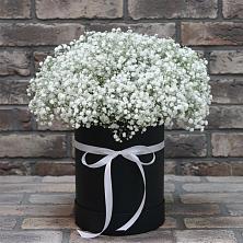 Цветочная композиция из Гипсофила в шляпной коробке в Салаире